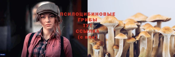 дмт Богданович