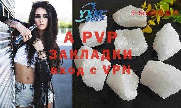 дмт Богданович