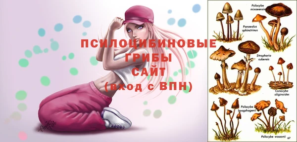 мет Богородск