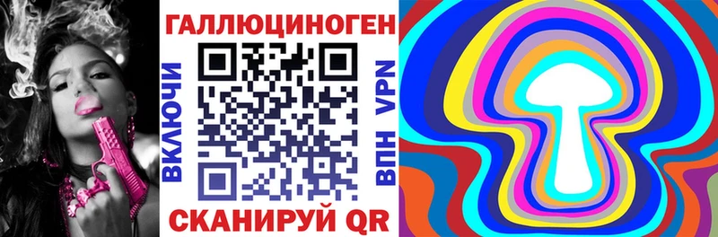 mega онион Городище Псилоцибиновые грибы Psilocybe